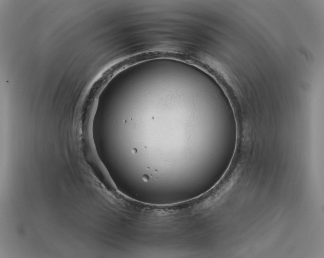 X0000113620923200909181436