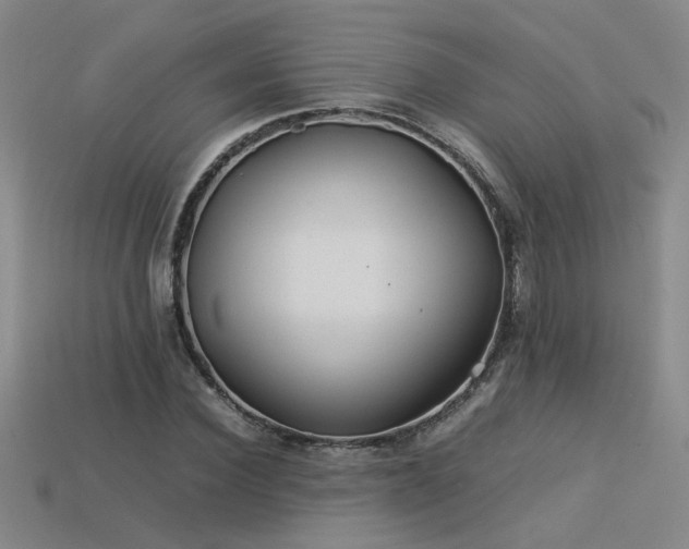 X0000113620924200909181436