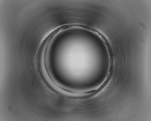 X0000113620925200909181436