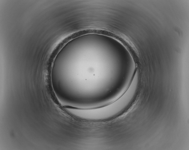 X0000113620926200909181436