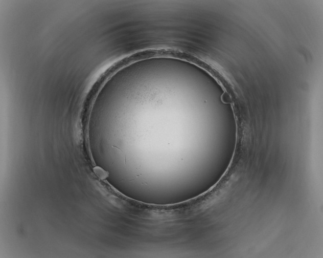 X0000113620927200909181436