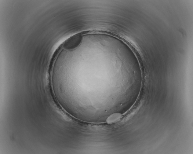 X0000113620928200909181436