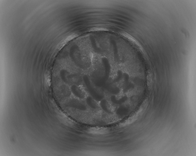 X0000113620929200909181436