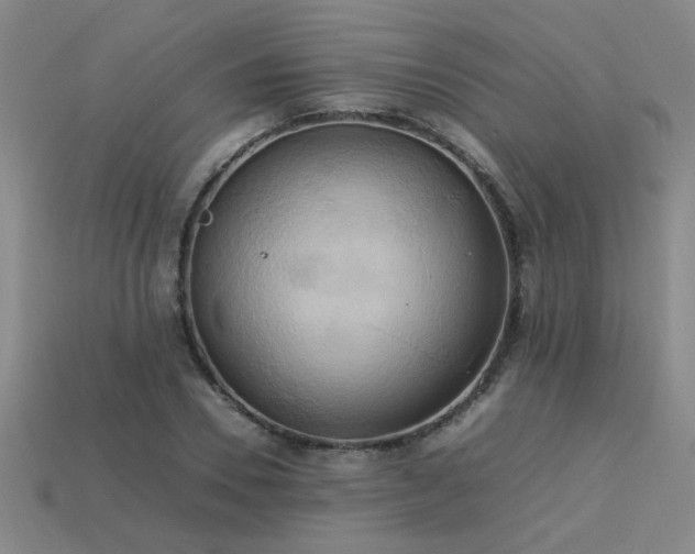 X0000113620930200909181436