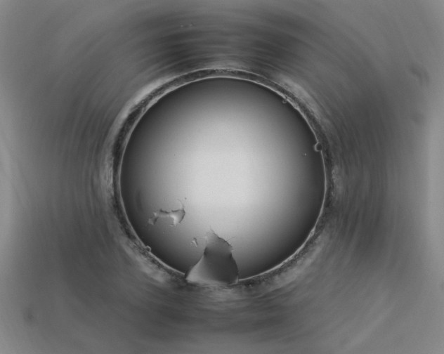 X0000113620931200909181436