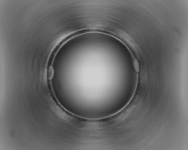 X0000113620932200909181436