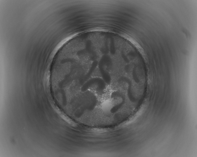 X0000113620933200909181436