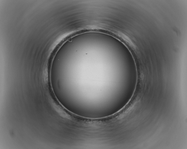 X0000113620934200909181436