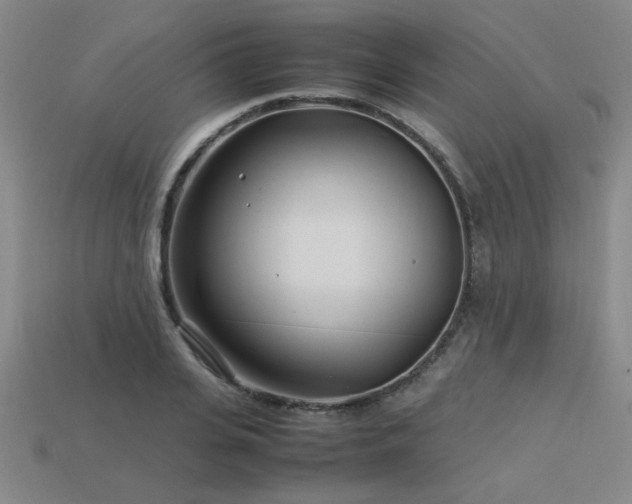 X0000113620935200909181436