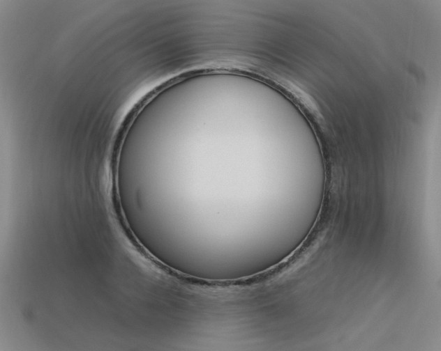 X0000113620936200909181436