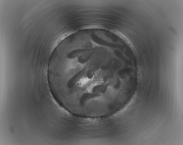 X0000113620937200909181436