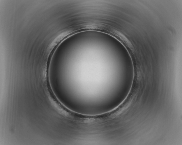 X0000113620938200909181436