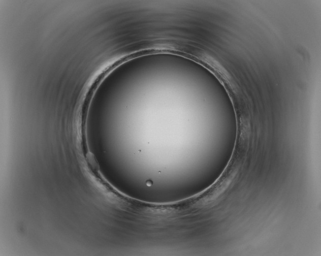 X0000113620939200909181436