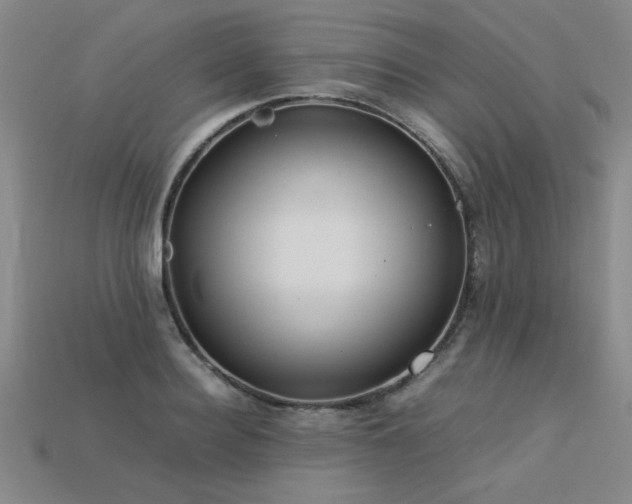 X0000113620940200909181436