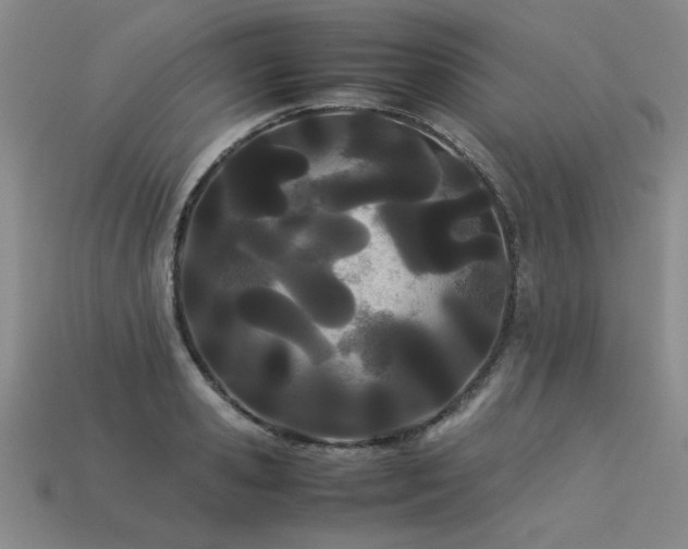 X0000113620941200909181436