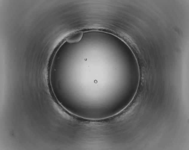 X0000113620942200909181436