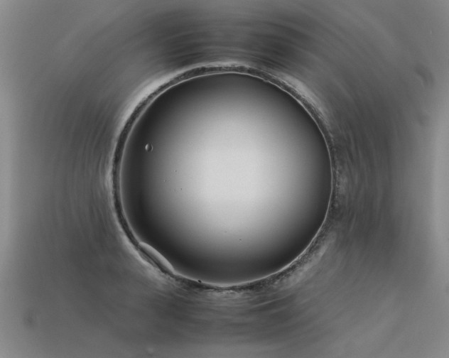 X0000113620943200909181436