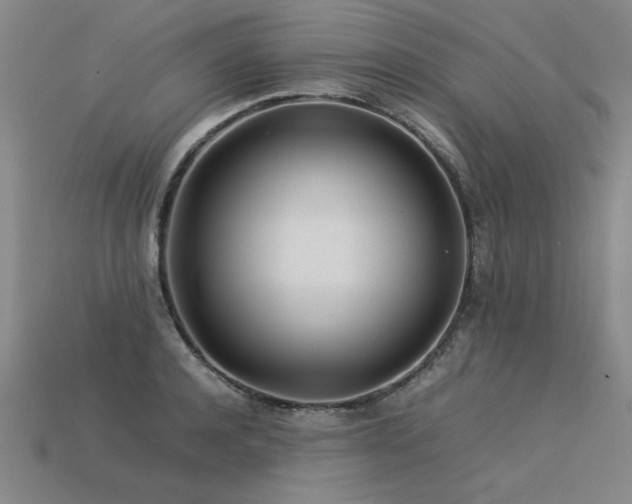 X0000113620944200909181436