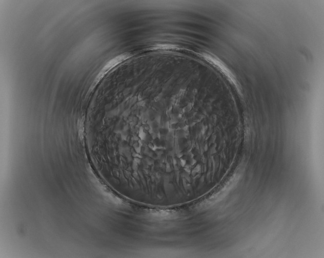 X0000113620945200909181436