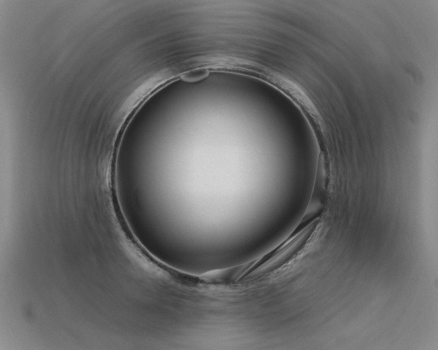 X0000113620946200909181436