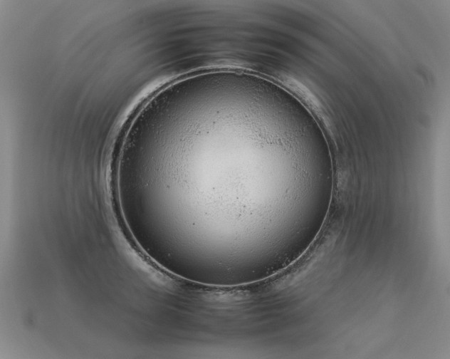 X0000113620947200909181436