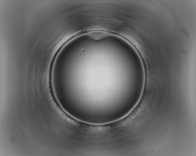 X0000113620949200909181436