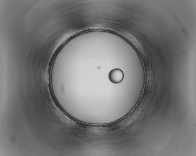 X0000113620950200909181436