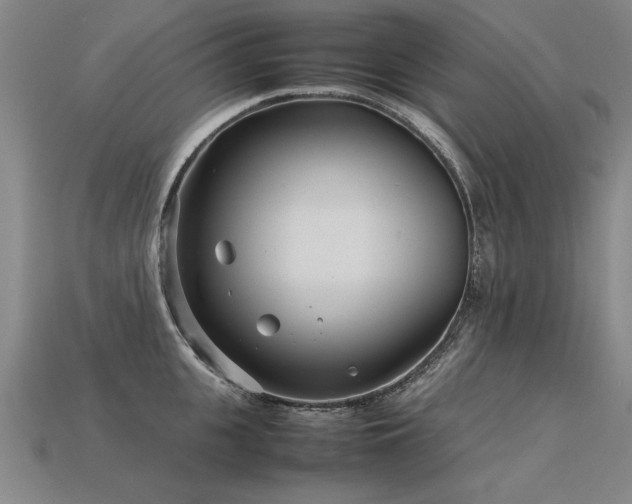 X0000113620951200909181436