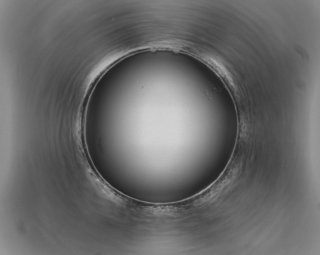 X0000113620952200909181436