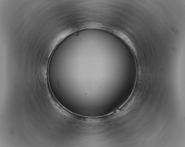 X0000113620954200909181436