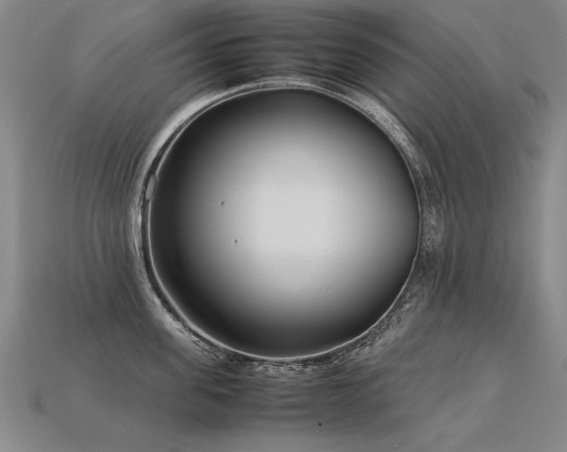 X0000113620955200909181436