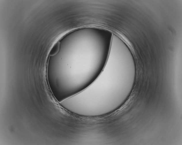 X0000113620956200909181436