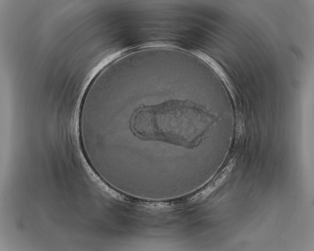 X0000113620957200909181437