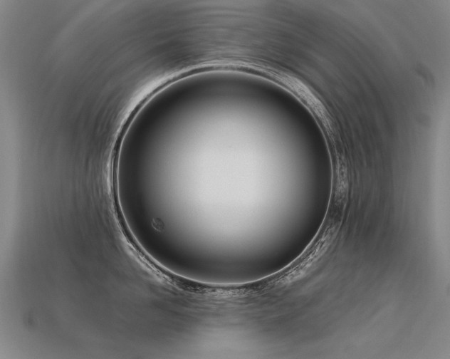 X0000113620958200909181437