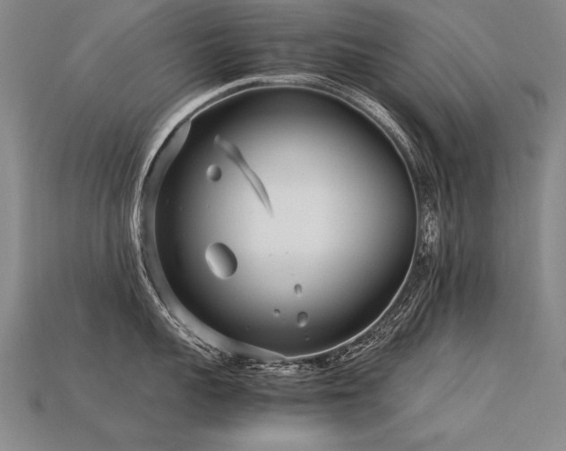 X0000113620959200909181437