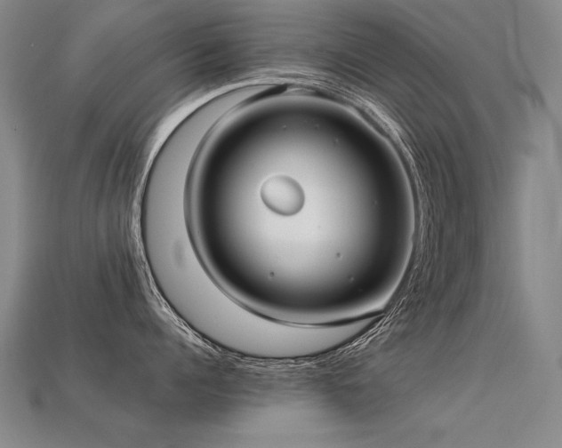 X0000113620960200909181437