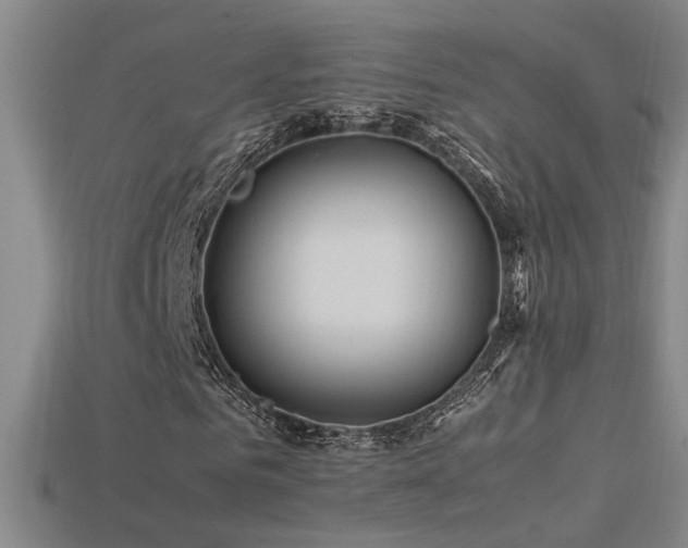 X0000113620961200909181436