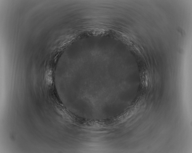 X0000113620962200909181436