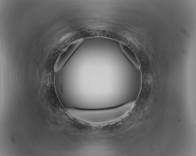 X0000113620965200909181436