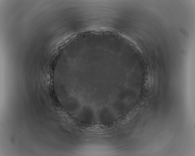 X0000113620966200909181436