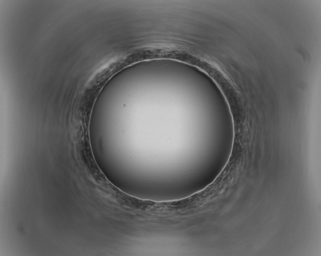 X0000113620967200909181436