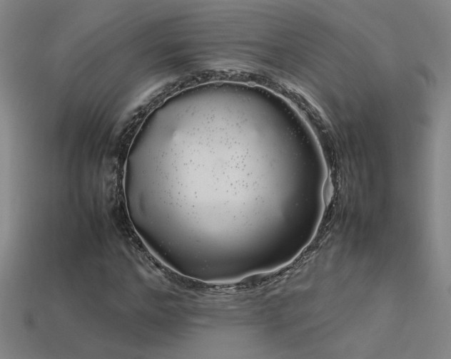 X0000113620968200909181436