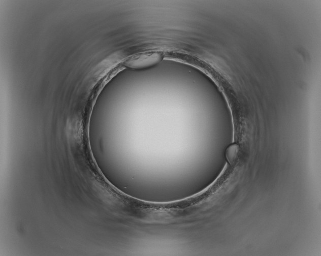 X0000113620969200909181436