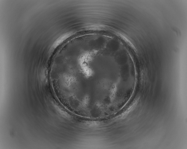 X0000113620970200909181436