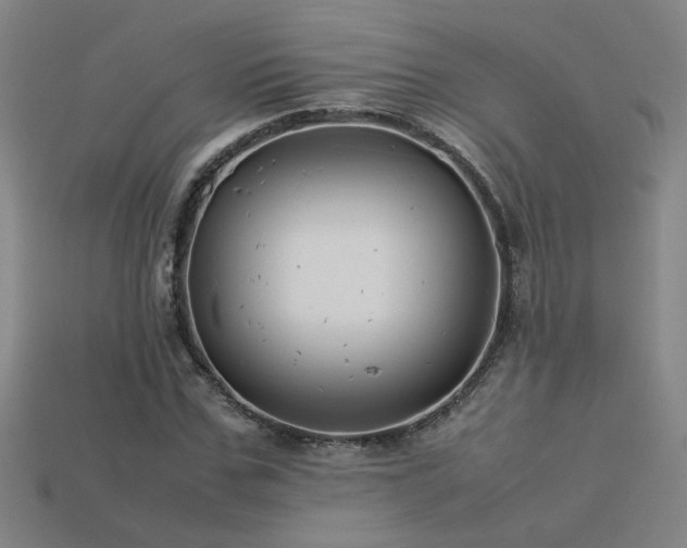 X0000113620971200909181436