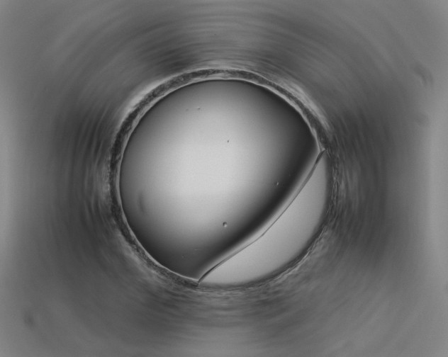 X0000113620972200909181436