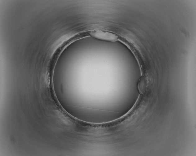 X0000113620973200909181436