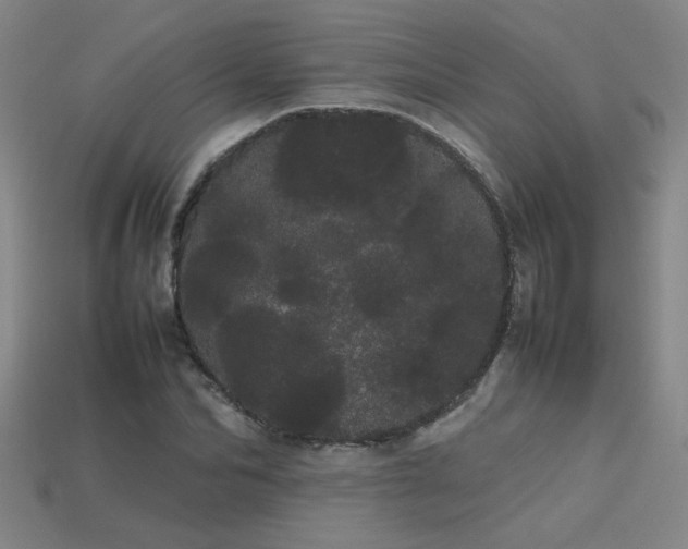 X0000113620974200909181436