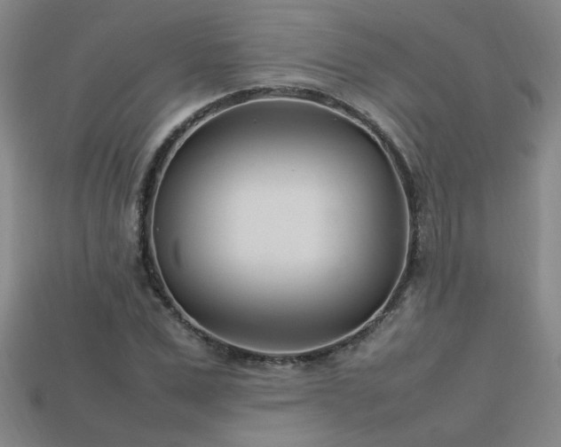 X0000113620975200909181436