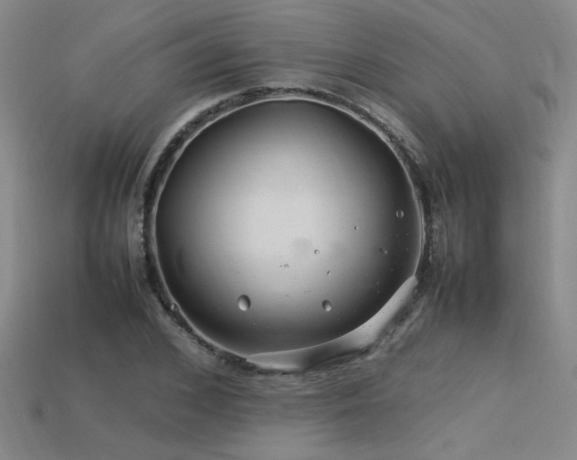 X0000113620976200909181436